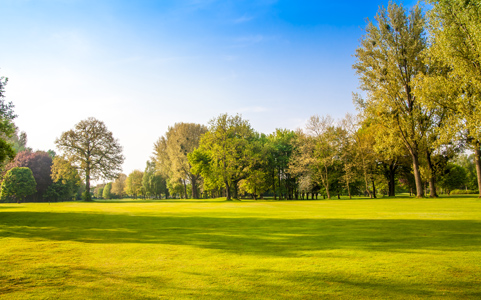 green field